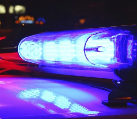 В Павлограде полиция гонялась за наркоманом по ночному городу