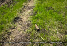 На Павлоградщині продовжують знаходити боєприпаси «старої війни»