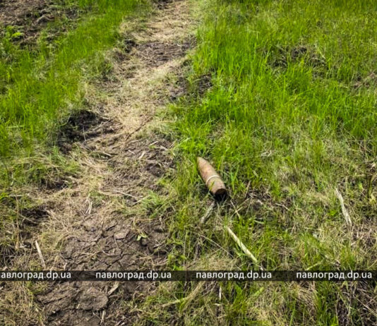 На Павлоградщині продовжують знаходити боєприпаси «старої війни»