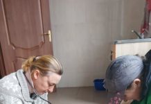 В Павлограде ежедневно спасают бродячих животных