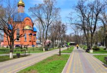 «Шоб у них в ж**е бутон распустился»: в Терновке украли элитные розы