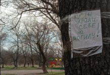 Лично набью морду, – в Павлограде ищут расхитителей парков