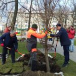 хорошее-фото-мэр-директор-посадка