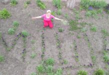 На Павлоградщине мама погибшего АТОвца высадила аллею в его честь