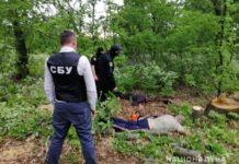 В Павлограде СБУ и полиция задержали группу «черных лесорубов»