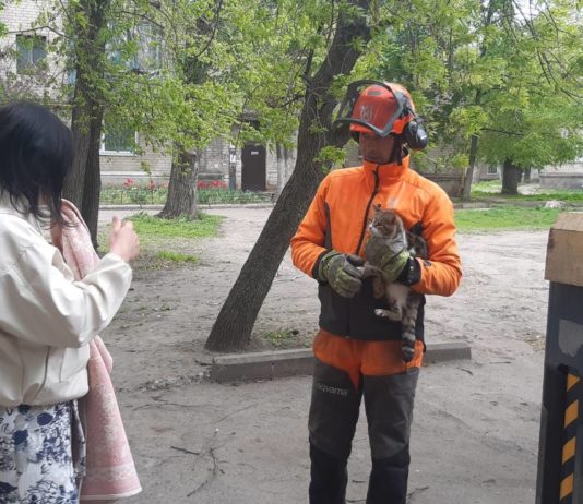 Павлоградец уже пятый раз спасает кота