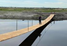 Под Павлоградом появилась новая локация для красивых фотосессий