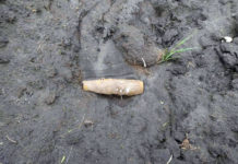 В Павлограде мужчина жил со снарядом во дворе