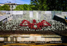 В центре Павлограда высадили многометровый трезубец