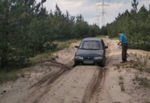 В Павлограде мужчина застрял на машине в лесу: чем закончилось