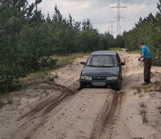 В Павлограде мужчина застрял на машине в лесу: чем закончилось