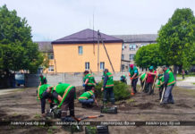 Возле Совета ветеранов в Павлограде появится уютный скверик (ФОТО)