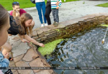 В Детском парке у фонтана нашли «подкидыша»