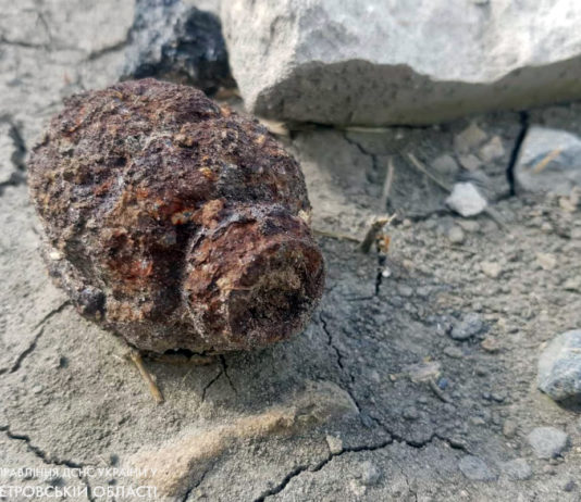 Вблизи Павлограда во дворе нашли гранату