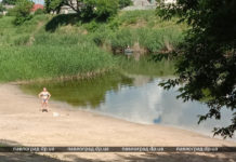 В Павлограде планируют расчистить р. Волчья: что конкретно предлагают