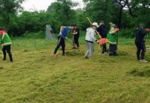 Дополнительные места: сколько еще павлоградских подростков смогут поработать летом