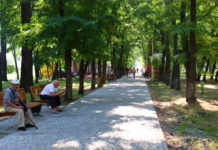 В одном из парков Павлограда появилась дорожка стоимостью свыше миллиона