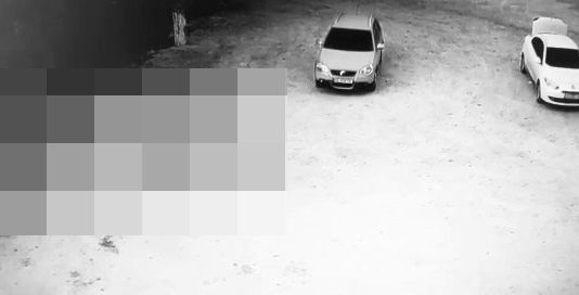 В сети опубликовали видео стрельбы в Павлограде (ВИДЕО)