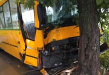 В Павлограде маршрутка врезалась в дерево (ВИДЕО)