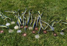 8 золотых медалей: Павлоградские спортсмены принесли Днепропетровщине призовое место