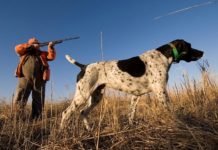 На Днепропетровщине стартует охотничий сезон: какие условия охоты