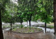 В Павлограде ликвидируют одно из «искусственных водохранилищ»