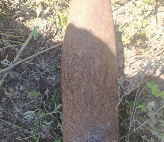 В Павлограде нашли боеприпас