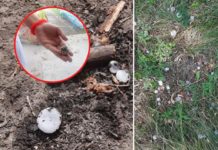 Павлоградцев удивили необычные осадки (ФОТО)