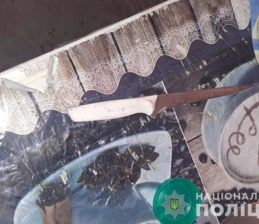 В селе рядом в Павлоградом мужчина получил ножевые в живот