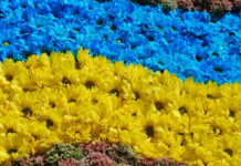 Программа празднования Дня Флага и Дня Независимости Украины