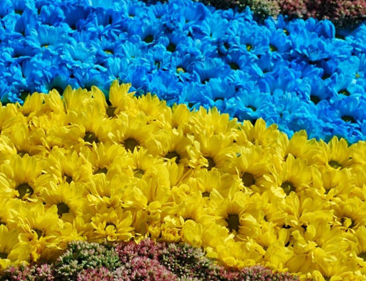 Программа празднования Дня Флага и Дня Независимости Украины