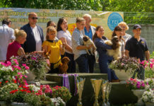 В Павлограде прошла Национальная выставка собак