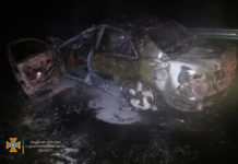 Вблизи Павлограда иномарка полностью сгорела после столкновения с «КРАЗом» (ВИДЕО)