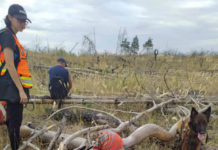 В Павлограде волонтеры отыскали бабушку, которая провела ночь в лесу