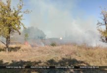 В Павлограде частный дом чуть не сгорел вместе с сухой травой