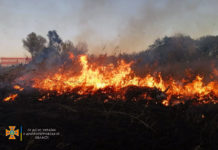 Недалеко от Павлограда спасатели шесть часов тушили пламя: что горело? (ФОТО и ВИДЕО)