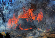 В Павлоградском районе огонь уничтожил дачу