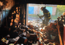 В Терновке сгорел запас дров на зиму