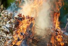 На Днепропетровщине женщина погибла, сжигая листья