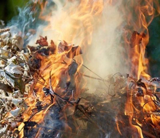 На Днепропетровщине женщина погибла, сжигая листья