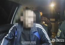 Павлоградец пьяным вез маму на море (ВИДЕО)