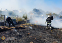 В Павлограде пожар вплотную подошел к заборам домов