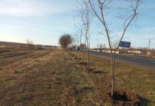 Коммунальщики благоустраивают территорию вдоль ул. Днепровская (ФОТО)