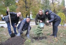 Волонтеры ДТЭК Энерго высадили 800 деревьев в рамках ежегодной экологической толоки «Зеленый город»