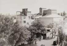 100 лет назад Павлоград был «хлебным центром»: в сети опубликовали фото