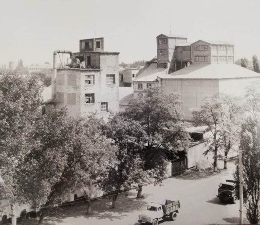 100 лет назад Павлоград был «хлебным центром»: в сети опубликовали фото