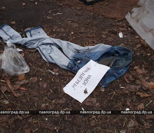 В Павлограде в парке появилась «ночлежка» БОМЖей (ФОТО)