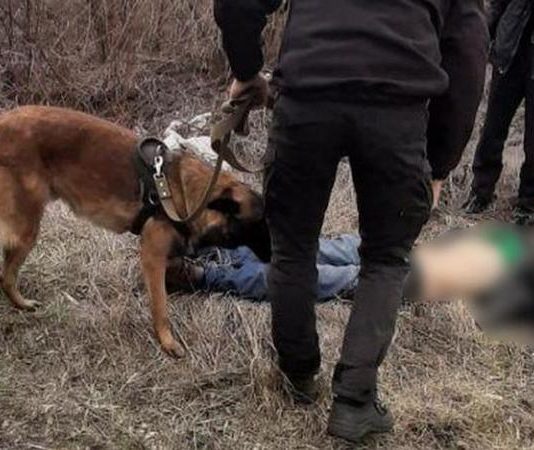 Под Павлоградом собаки обглодали труп неизвестного