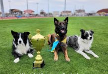 Павлоградка и ее собака завоевали престижный кубок в составе украинской сборной