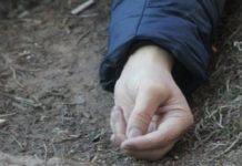 В Павлограде возле кладбища нашли труп